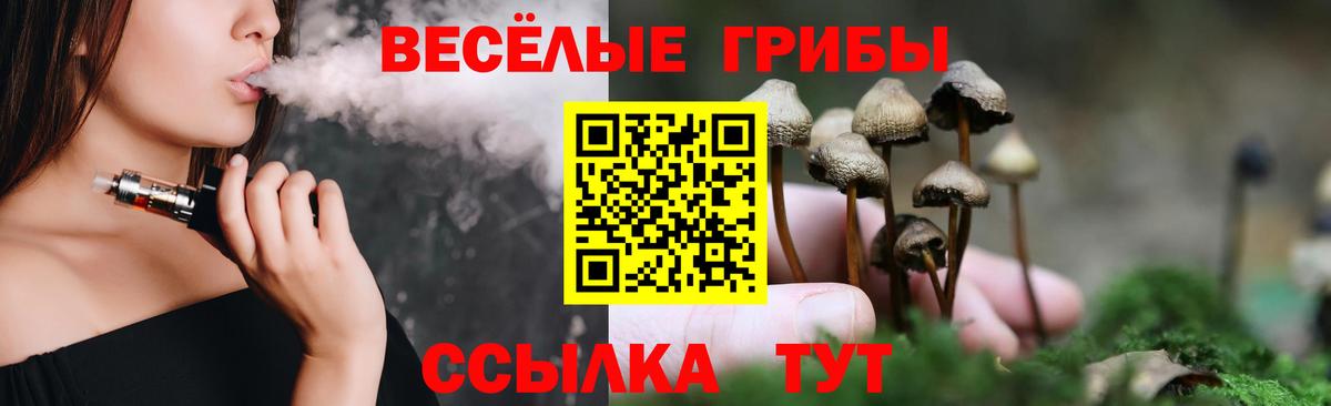 Галлюциногенные грибы прущие грибы Мариинск